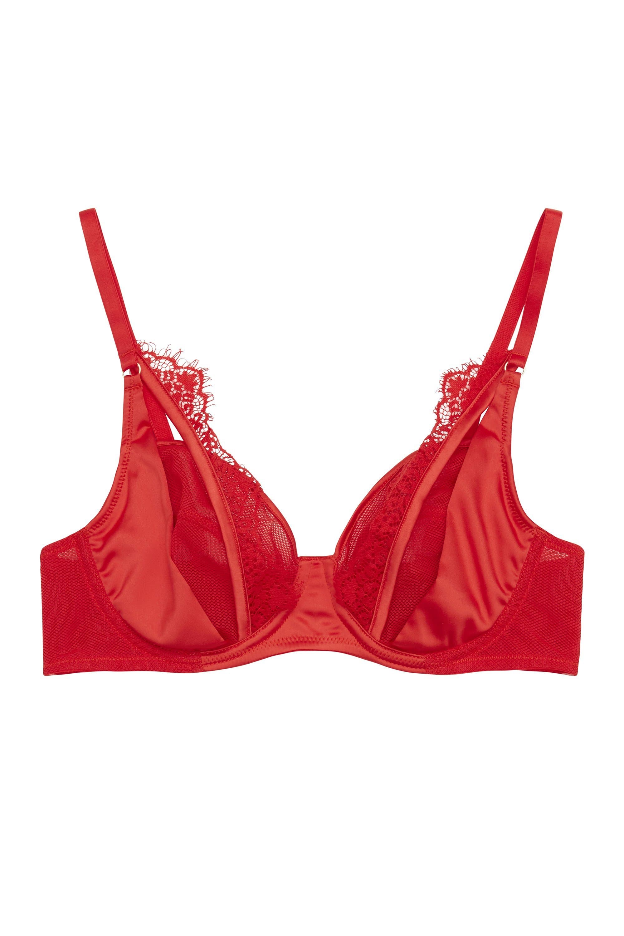 Zoya Curve Fishnet and Lace Plunge Bra - Image 2